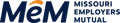 MEM-Logo