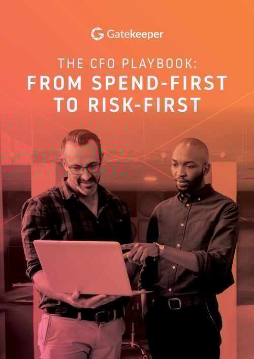 The cfo playbook_Coverpdf