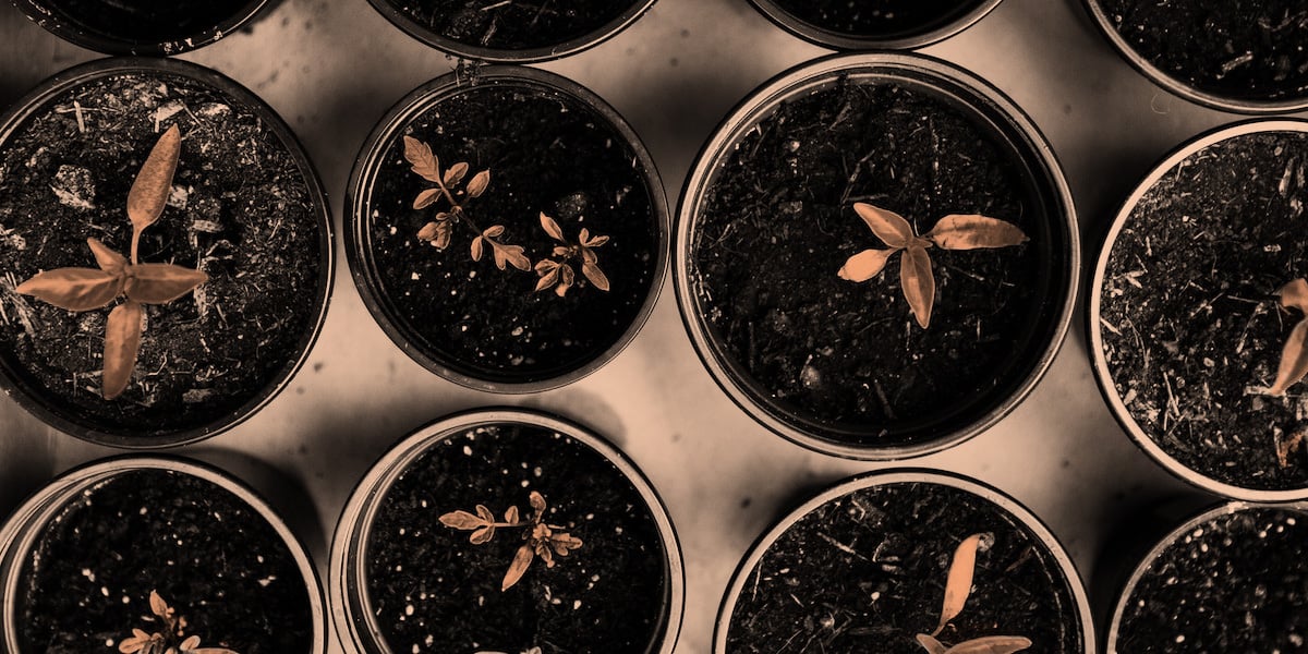 <span id="hs_cos_wrapper_name" class="hs_cos_wrapper hs_cos_wrapper_meta_field hs_cos_wrapper_type_text" style="" data-hs-cos-general-type="meta_field" data-hs-cos-type="text" >How to conduct a CLM Maturity Assessment</span>