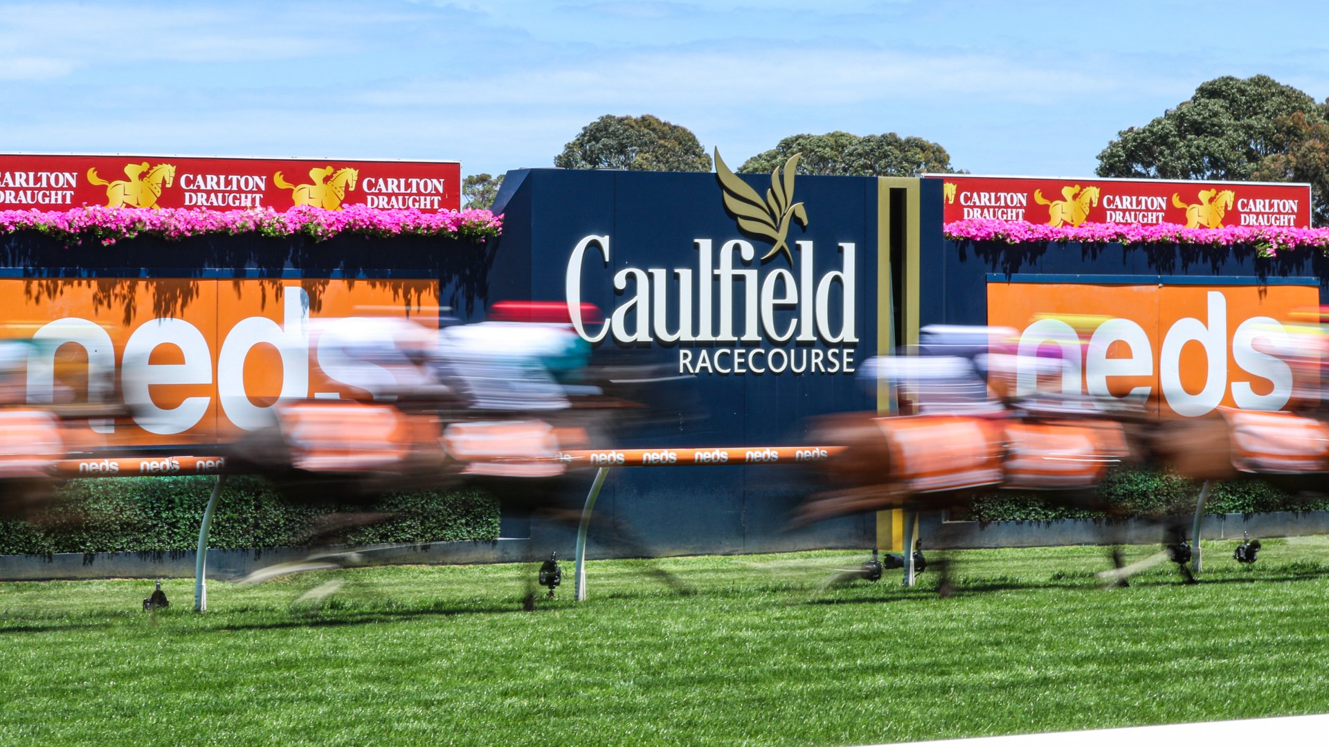 <span id="hs_cos_wrapper_name" class="hs_cos_wrapper hs_cos_wrapper_meta_field hs_cos_wrapper_type_text" style="" data-hs-cos-general-type="meta_field" data-hs-cos-type="text" >Case Study: How Melbourne Racing Club Centralised Contracts and Built A Single Source of Truth</span>